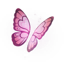 Olivia's Butterfly Wings — Fortnite back bling