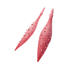 Poison Petals — Fortnite back bling icon