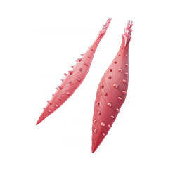 Poison Petals — Fortnite back bling