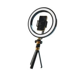 Ring Light To Go — Fortnite back bling icon