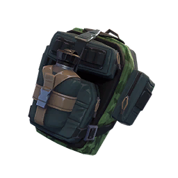 True North — Fortnite back bling