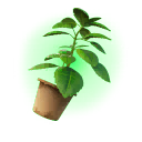 Green Herb — Fortnite back bling