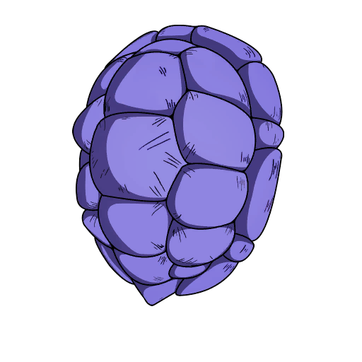 Kamesennin's Shell — Fortnite back bling icon