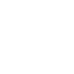 Disco (Surf Curse) — Fortnite emote icon