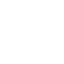 Disco (Surf Curse) — Fortnite emote