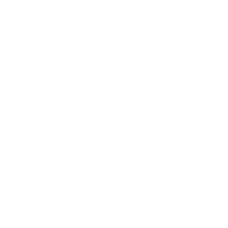 Outlaw — Fortnite emote icon