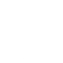 Fast Flex — Fortnite emote