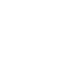 Duke of Flies — Fortnite emote icon