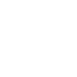 Flight Simulator X10 — Fortnite emote icon