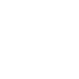 Peace Approved — Fortnite emote icon