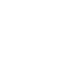 Victory Flag — Fortnite emote