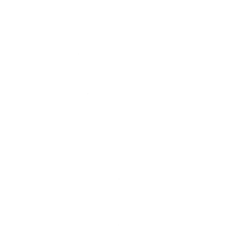 Coin Flip — Fortnite emote icon