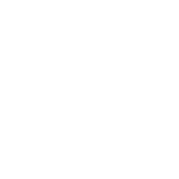 Night Out — Fortnite emote