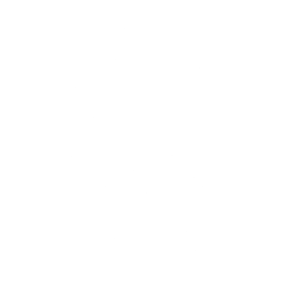 Lighter — Fortnite emote icon