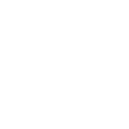 Firework — Fortnite emote icon