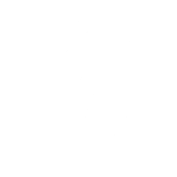 Fly to Tokyo — Fortnite emote icon