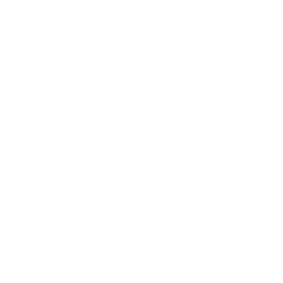 Neva Play — Fortnite emote icon