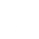 Panther's Showtime — Fortnite emote