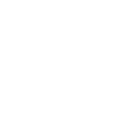 Big Spin — Fortnite emote icon