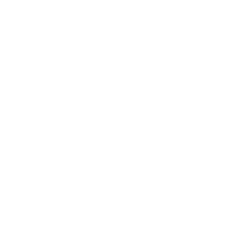 #1 Fan Llama — Fortnite emote icon