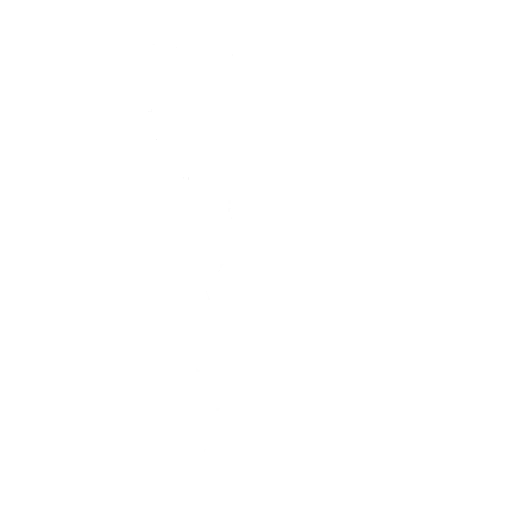 Disc Spinner — Fortnite emote icon