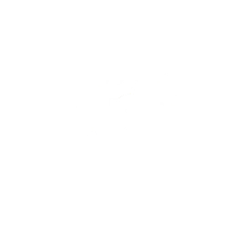 FLAWLESS VICTORY — Fortnite emote icon