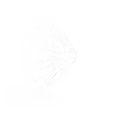 Screamo Boombox — Fortnite emote