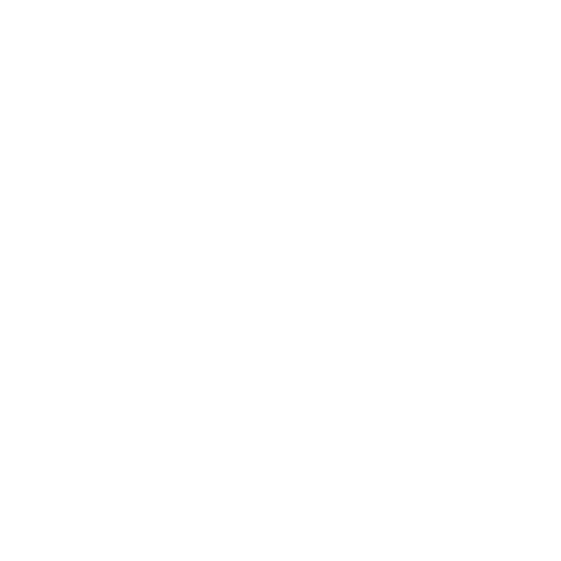 Segway Tour — Fortnite emote icon