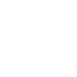 Captain Llamerica — Fortnite emote icon