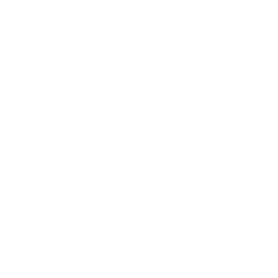 Snowflakey — Fortnite emote icon