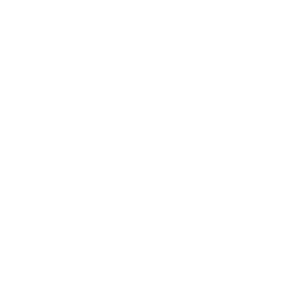 Boomerang — Fortnite emote icon