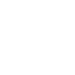 Asana Sonic — Fortnite emote icon