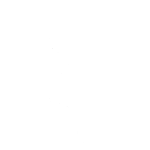 Llama Conga — Fortnite emote icon