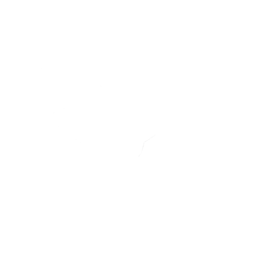 Trinity's Kick — Fortnite emote icon