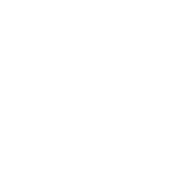 Dragon's Challenge — Fortnite emote icon