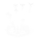 Raven's Legion — Fortnite emote