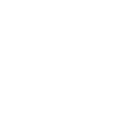Conqueror's Claim — Fortnite emote icon