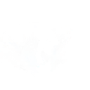 Spirit Strider — Fortnite emote