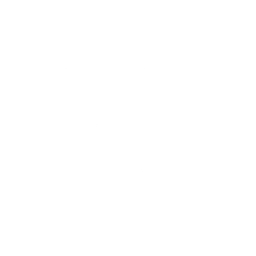 Fire Arrow — Fortnite emote icon