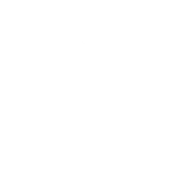 Guardian's Parade — Fortnite emote icon