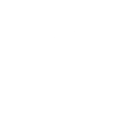 Sentinel Squats — Fortnite emote icon