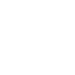 Ninja Stance: Leo — Fortnite emote icon