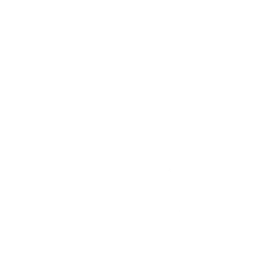 Sonic Surfer — Fortnite emote icon