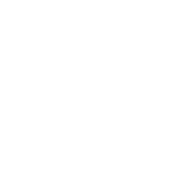 Camera Celebration — Fortnite emote icon