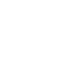 Go Super Sonic — Fortnite emote icon