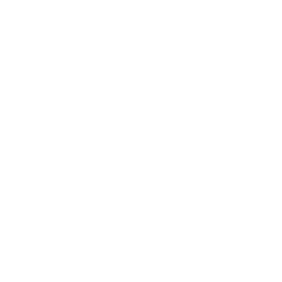 Point & Shoot — Fortnite emote