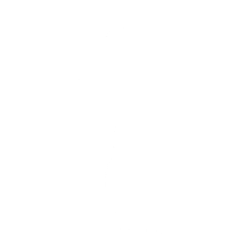 Slalom Style — Fortnite emote icon
