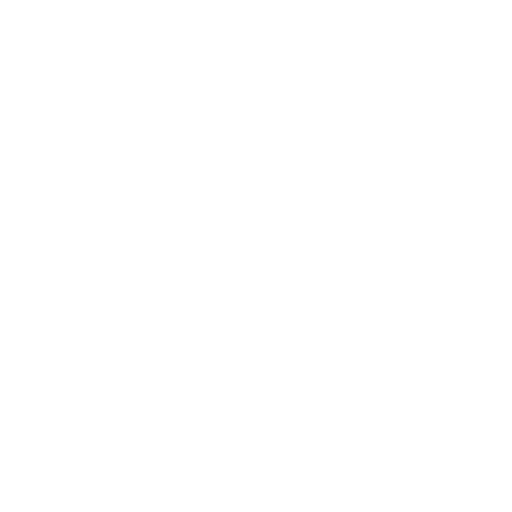 The Crane Kick — Fortnite emote icon