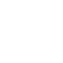 Lil' T-6 Shuttle — Fortnite emote icon
