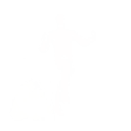 Sparrow Run — Fortnite emote icon